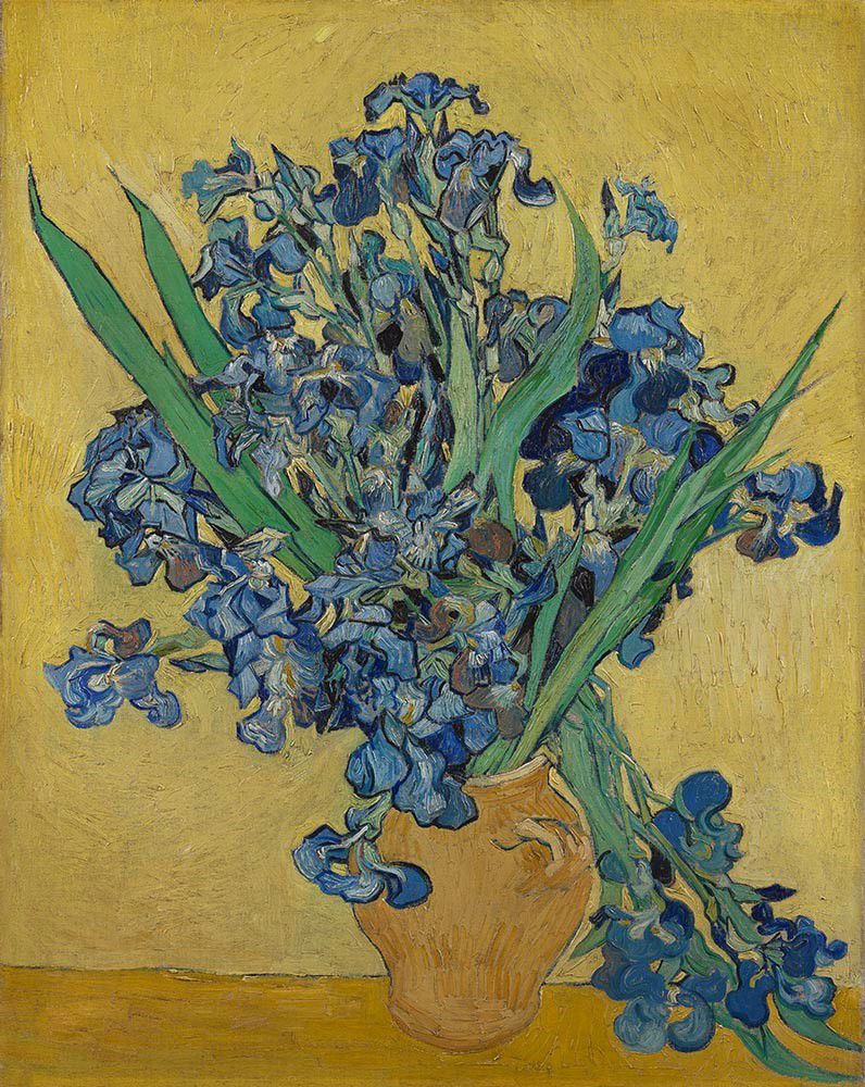 Beauty everywhereâ in vincent van goghs paintings of flowers inside the the museum of fine arts houston
