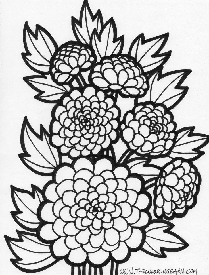Flower coloring pages
