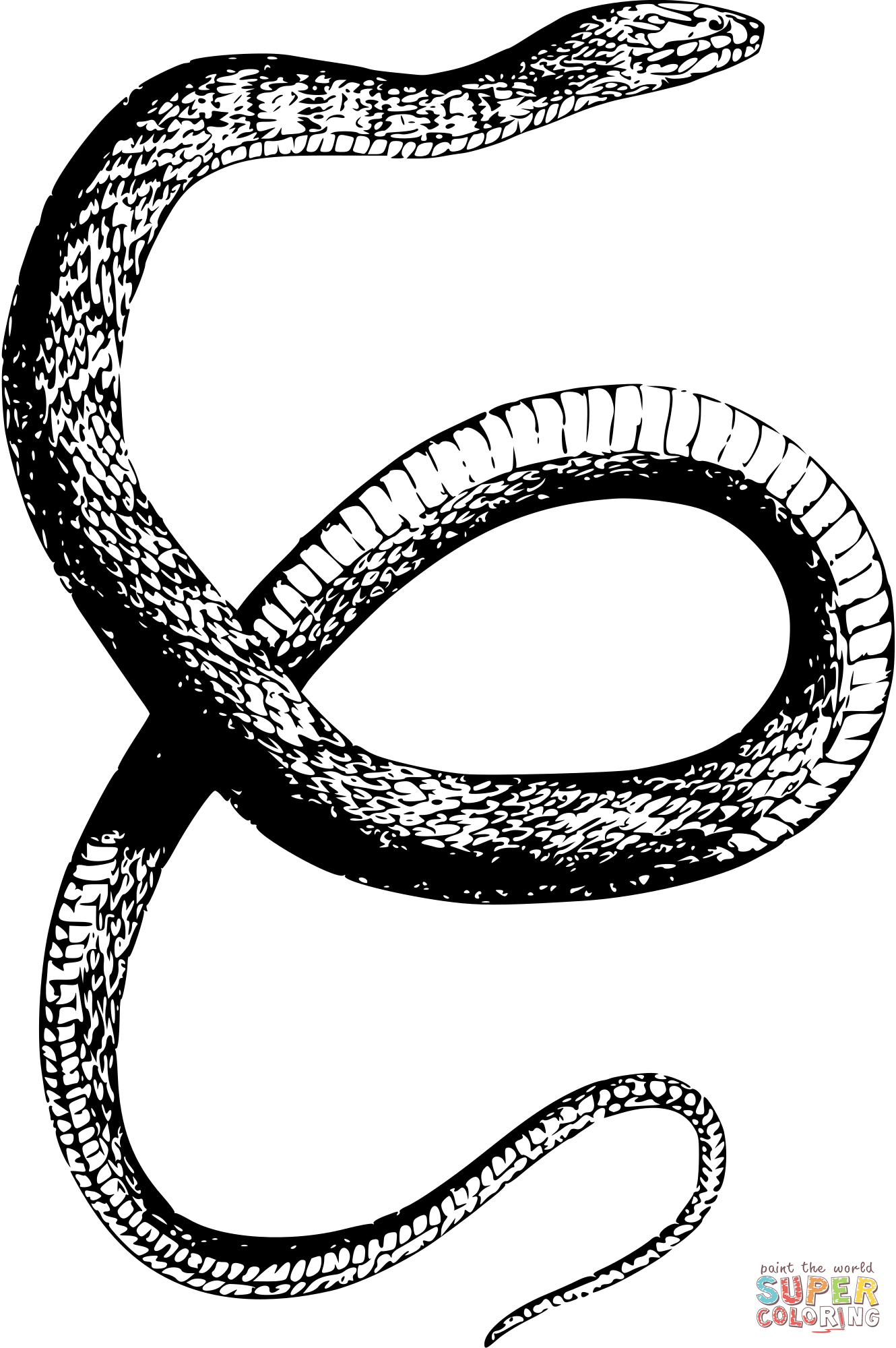 Dibujo de serpiente de agua de espalda de diamante vintage para colorear dibujos para colorear imprimir gratis