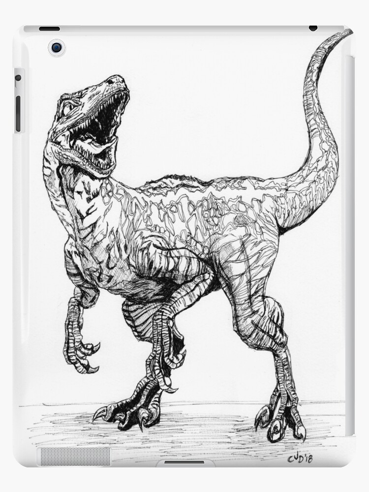 Blue the raptor