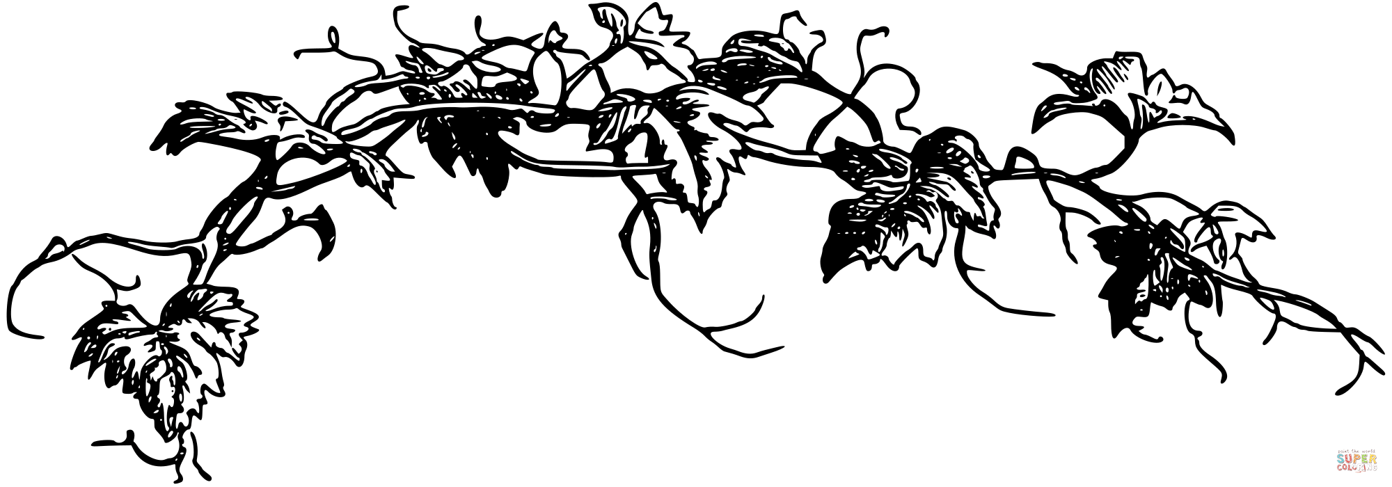 Vintage vine coloring page free printable coloring pages