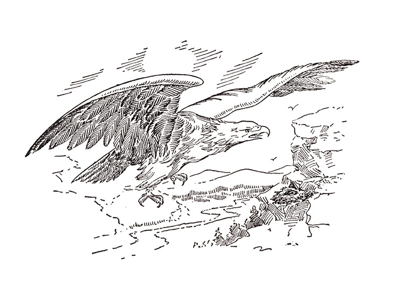 Th of july coloring pages