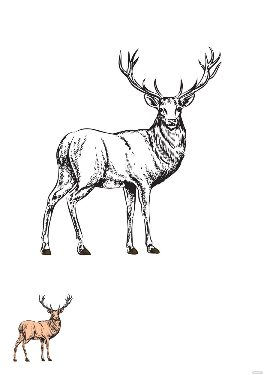 Free vintage deer coloring page
