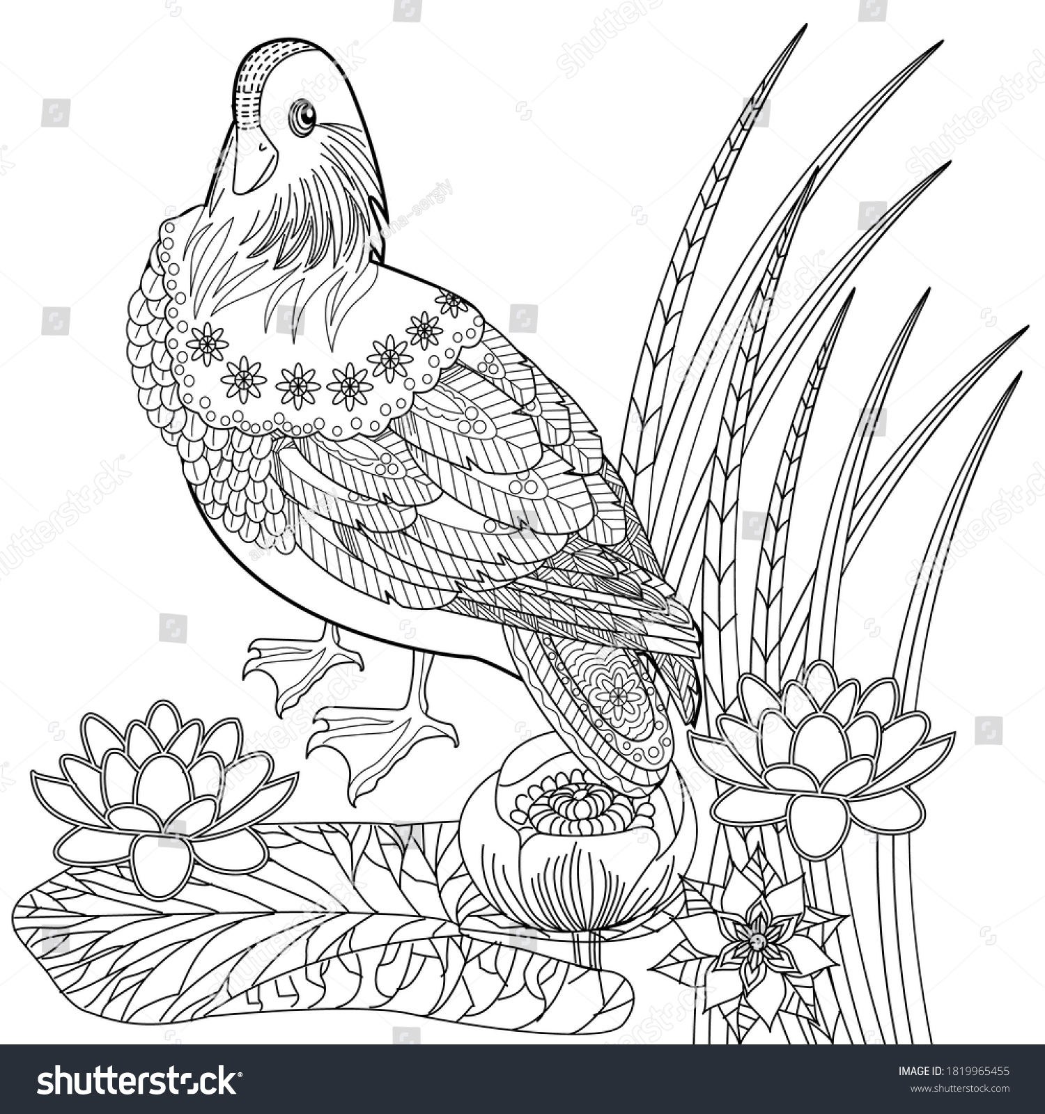 Art therapy coloring page birds hand stock vector royalty free