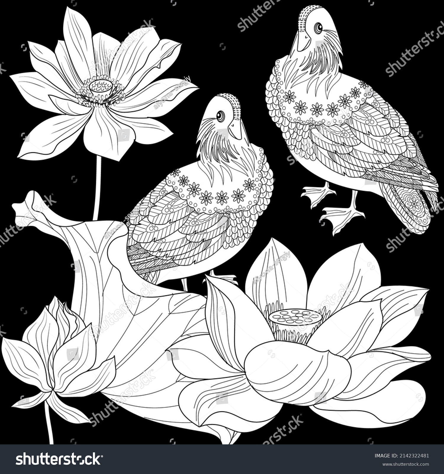 Art therapy coloring page birds hand stock vector royalty free