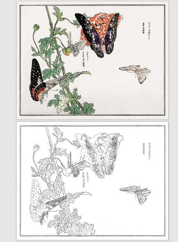 Japanese art coloring book floral asian art coloring pages vintage floral coloring sheets intricate coloring pages for adults