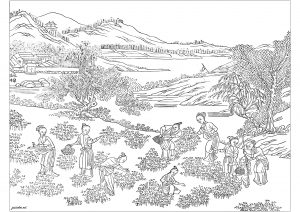 China asia