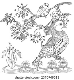 Ducks coloring page royalty