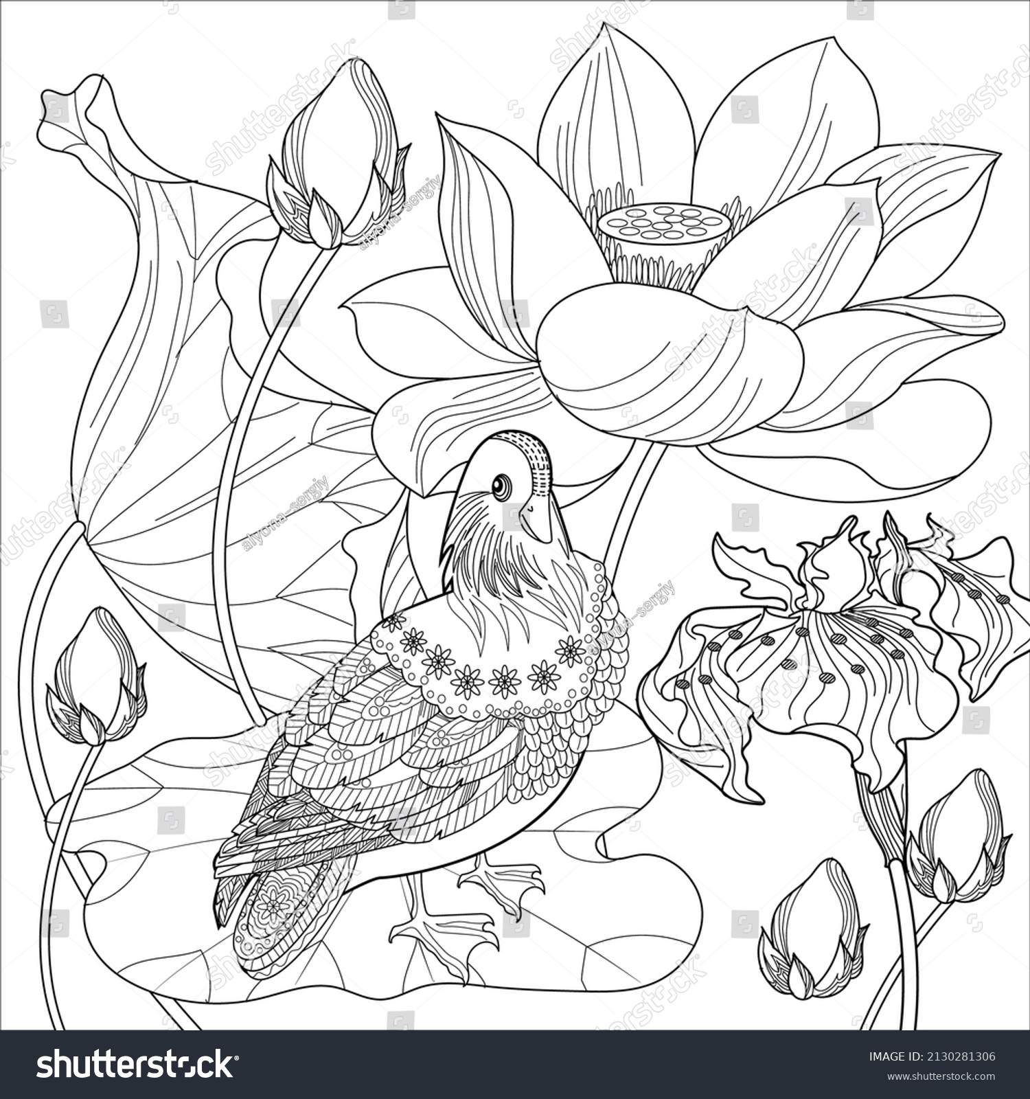 Art therapy coloring page birds hand stock vector royalty free