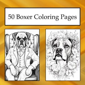 Boxer coloring page