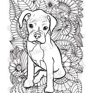 Boxer coloring page