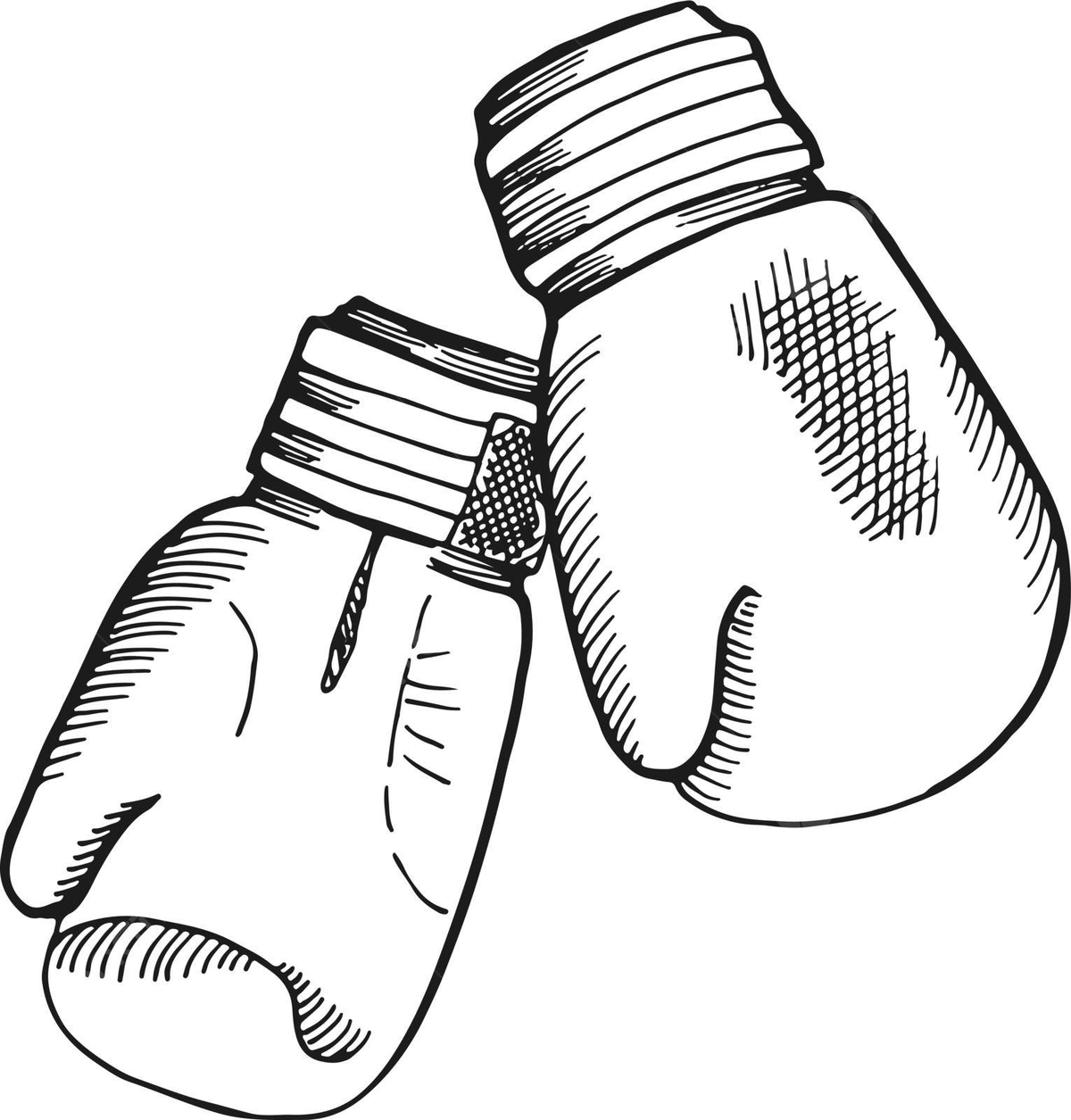 Handdrawn boxing gloves sketch training equipment for fights vector vintage boxing illustration png and vector with transparent background for free download