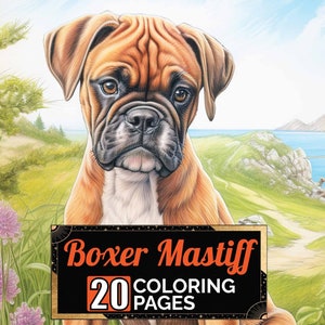 Boxer coloring page