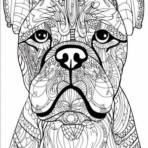 Boxer coloring page