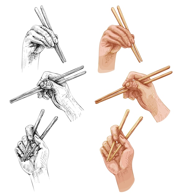 Premium vector different poses female hands holding a chopsticks vintage vector hatching color illustration isolated on white background