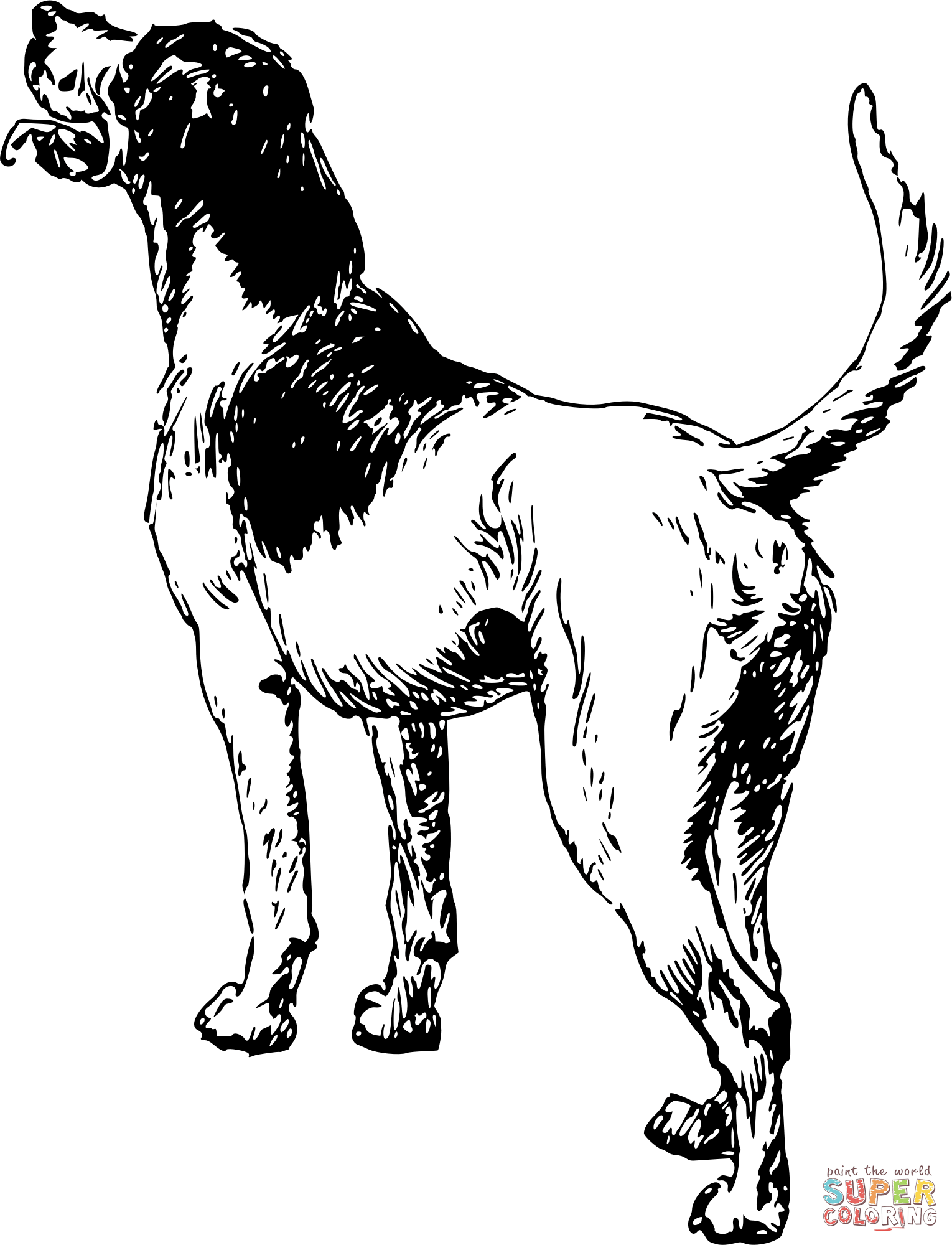 Vintage dog coloring page free printable coloring pages