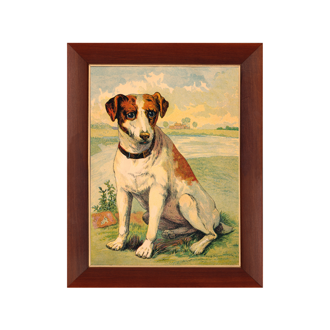 Dog vintage childrens book illustration framed print behind glass