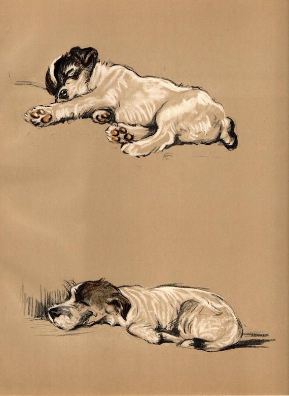 Vintage color dog print mike the fox terrier lucy dawson book plate