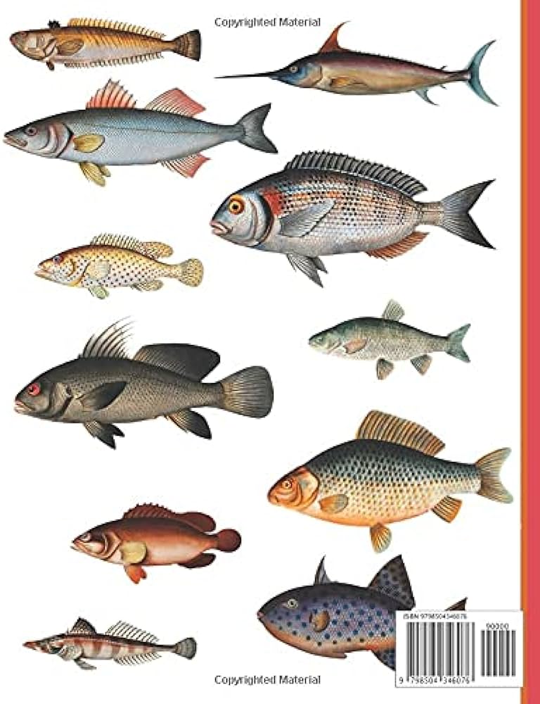 Vintage fish loring book marine life loring book dean ember books