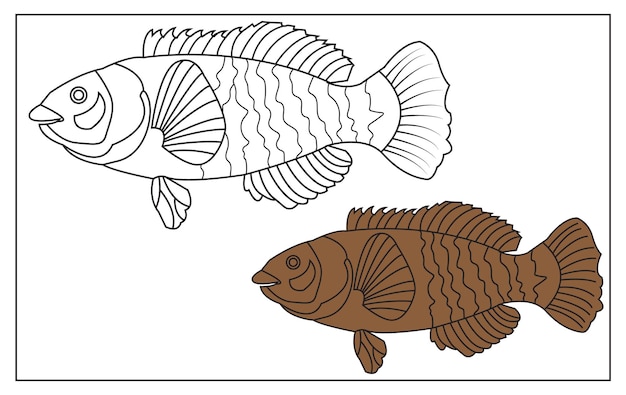 Premium vector fish line art for coloring book tshirt design logo design hand drawing vintage engraving