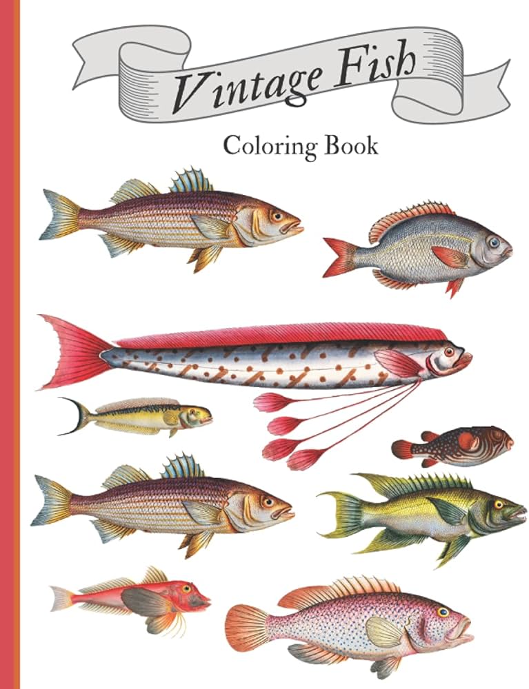 Vintage fish loring book marine life loring book dean ember books