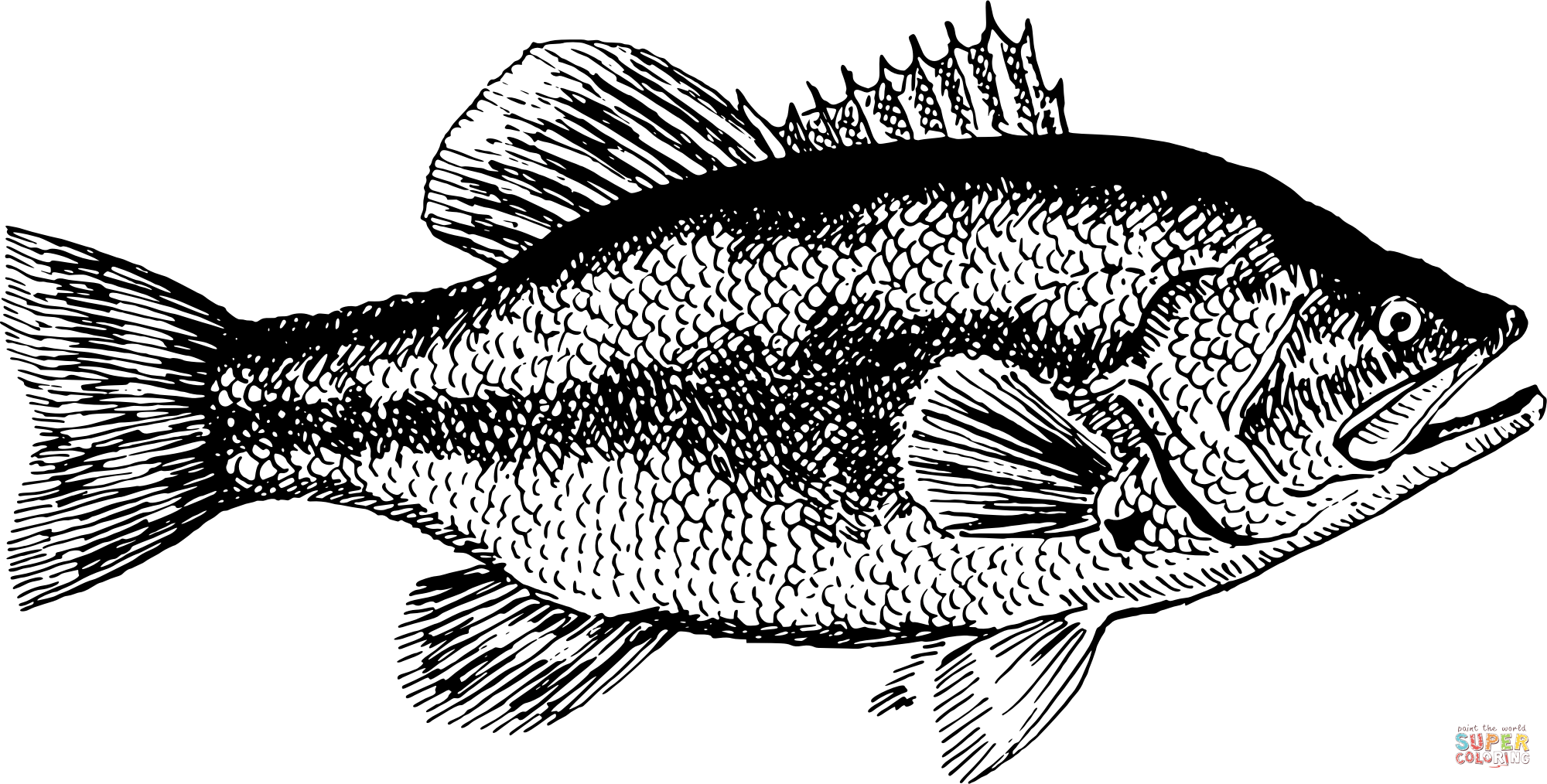 Vintage fish coloring page free printable coloring pages