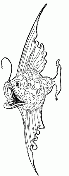 Filevintage fish drawingpng