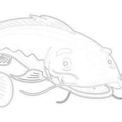 Koi fish in vintage style coloring page