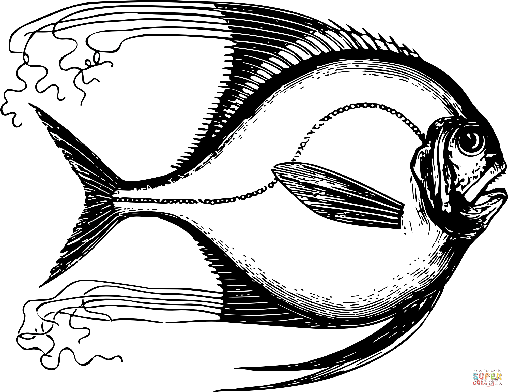 Vintage fish coloring page free printable coloring pages