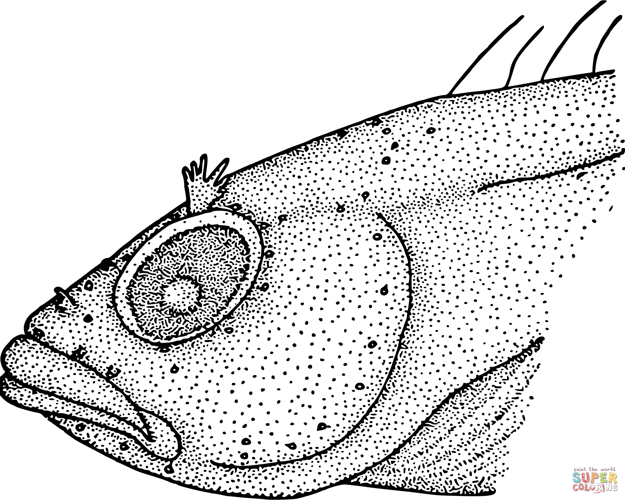 Vintage gross fish face coloring page free printable coloring pages