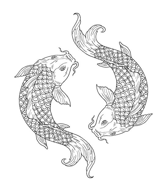 Koi fish coloring page vectors illustrations for free download