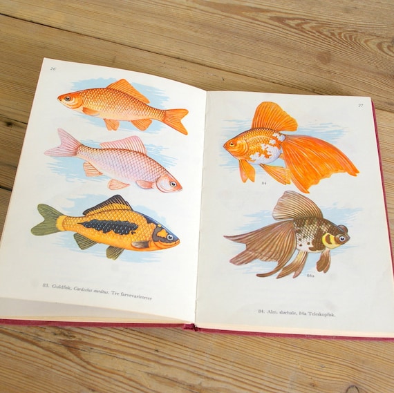 Vintage aquarium fish book fish illustrations fish guide color old paper supply journaling prints collage pages supplies scrapbooking