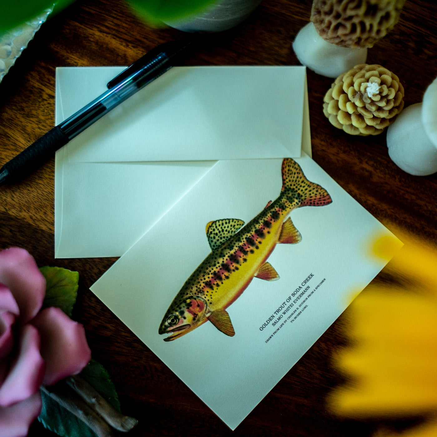 Vintage trout note cards