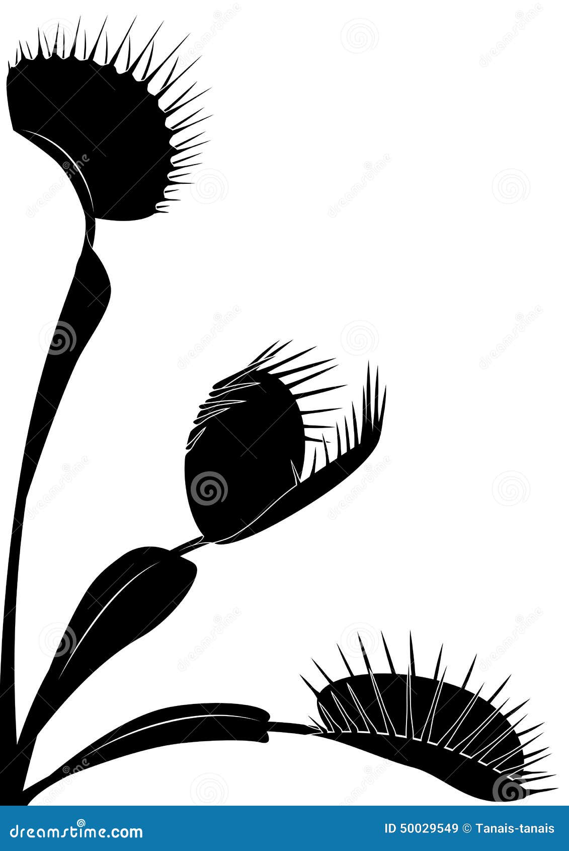Venus flytrap stock illustrations â venus flytrap stock illustrations vectors clipart