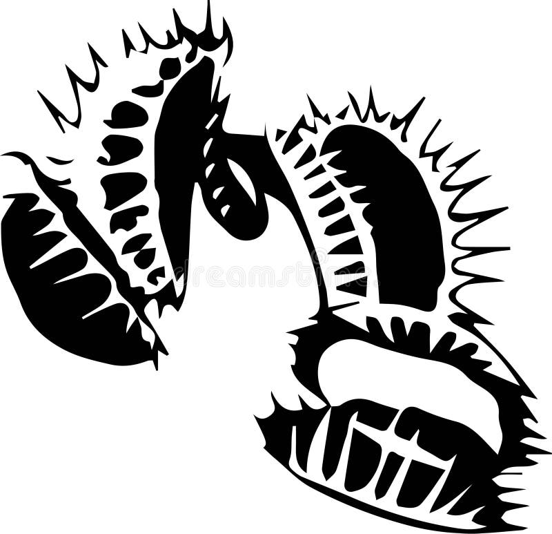 Venus flytrap stock illustrations â venus flytrap stock illustrations vectors clipart