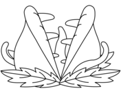 Venus fly trap coloring pages free coloring pages
