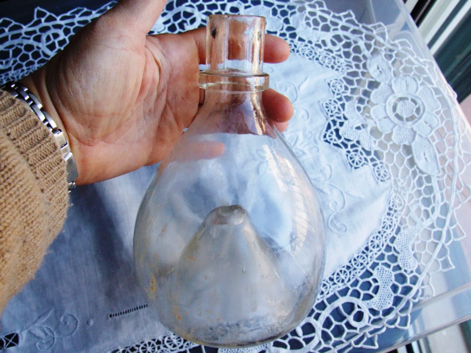 Vintage fly trap