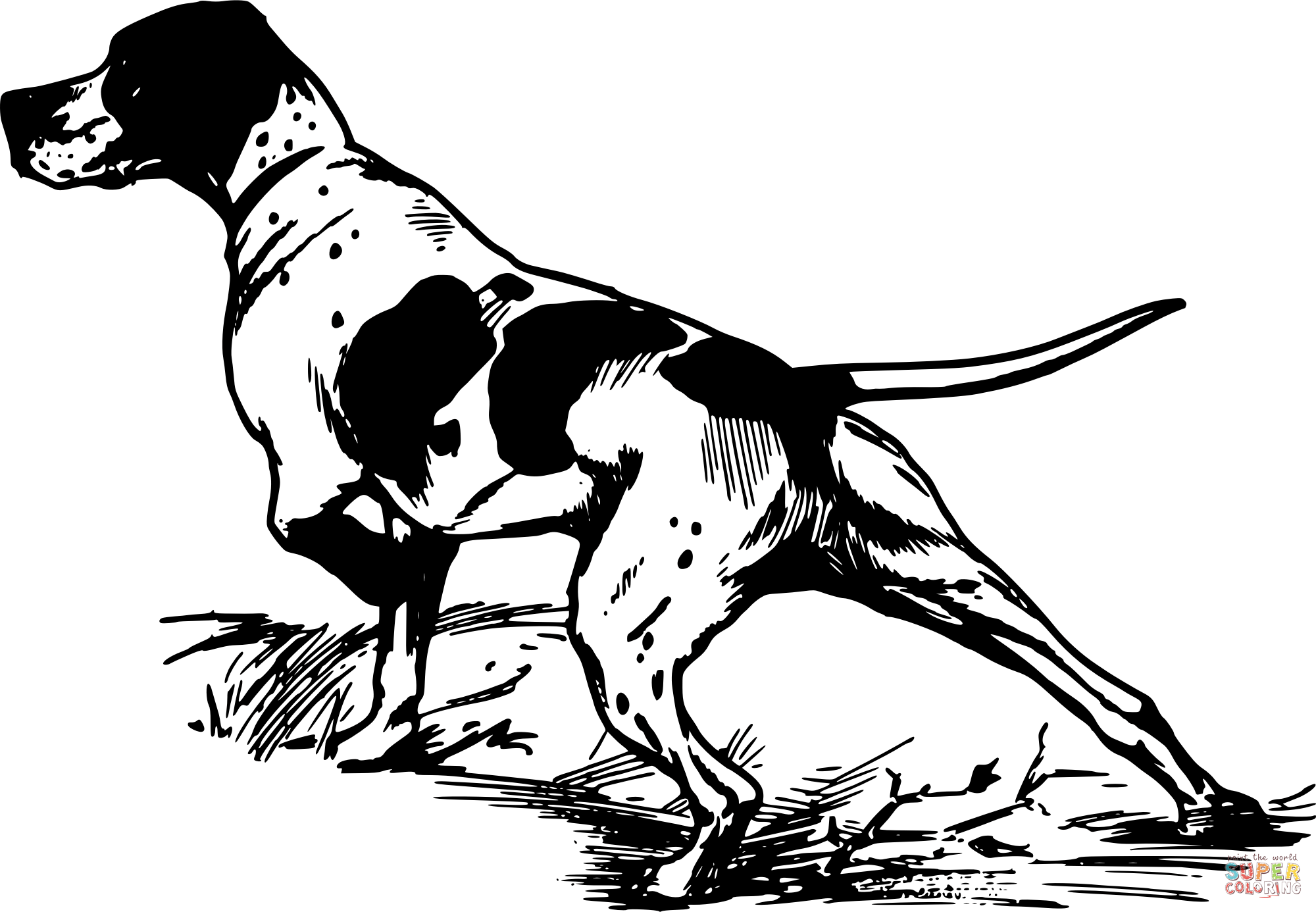 Vintage hunting dog coloring page free printable coloring pages