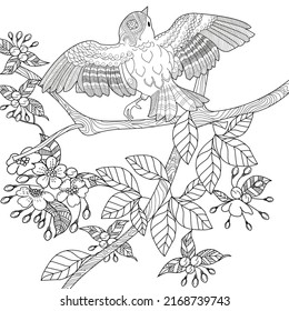 Eagle hunting inflight coloring book adults stock vector royalty free