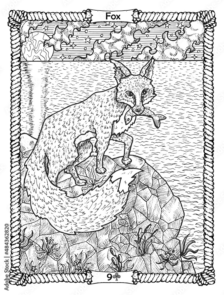 Fox card from the oracle old marine lenormand deck with wild hunting animal at sea shore nautical vintage background coloring book page t