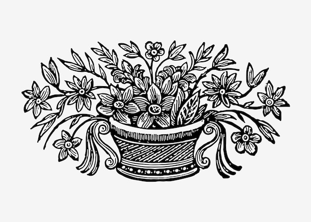 Page iris coloring page images