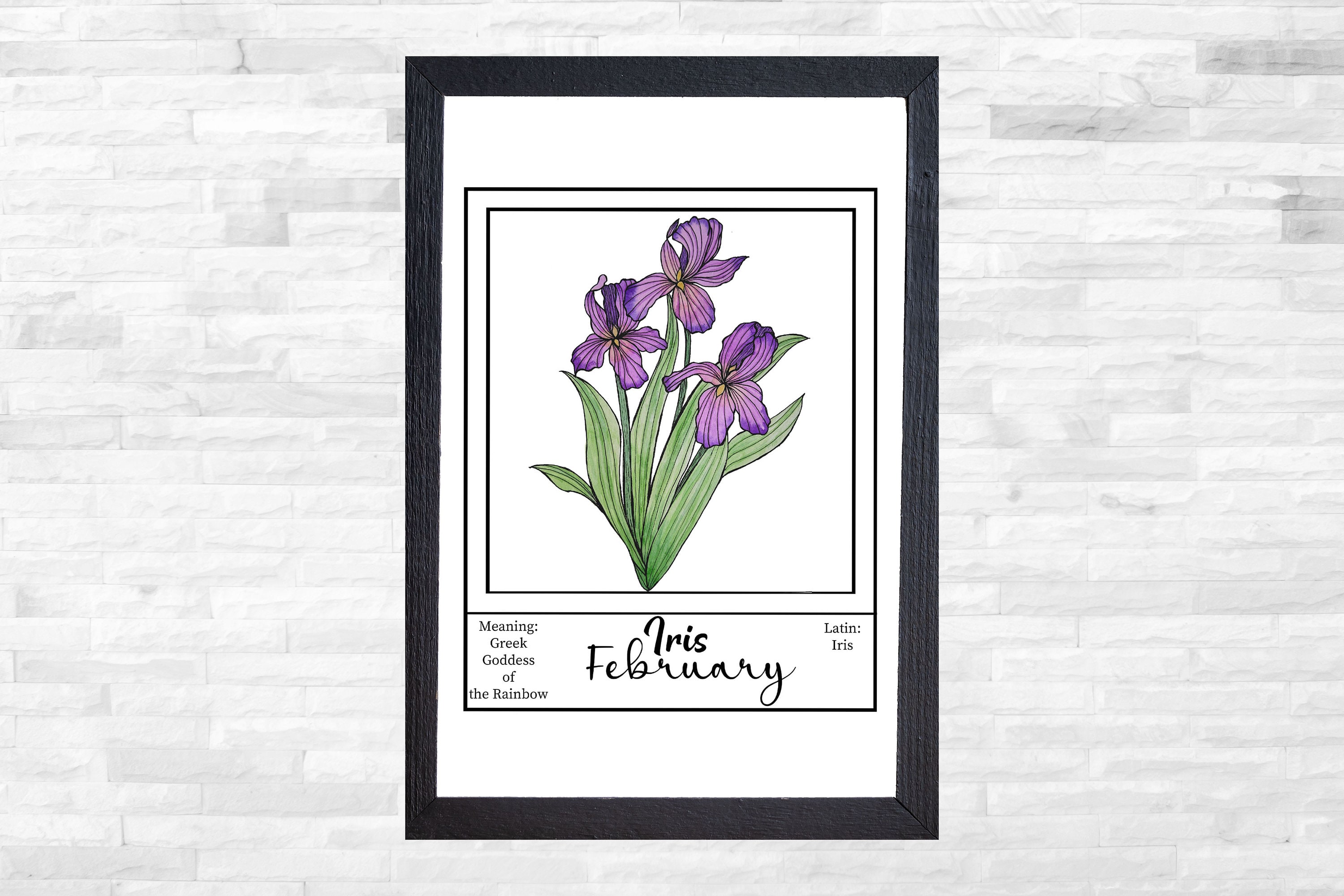Iris coloring page