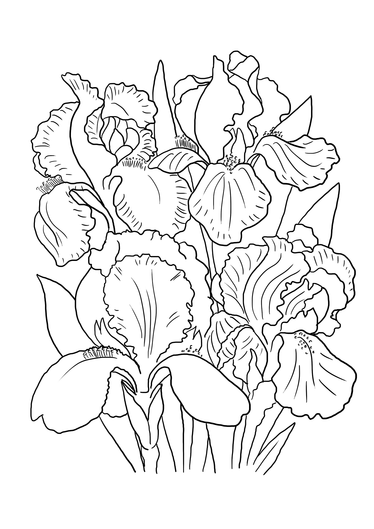 Flower coloring pages