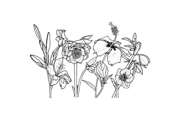 Page iris coloring page images