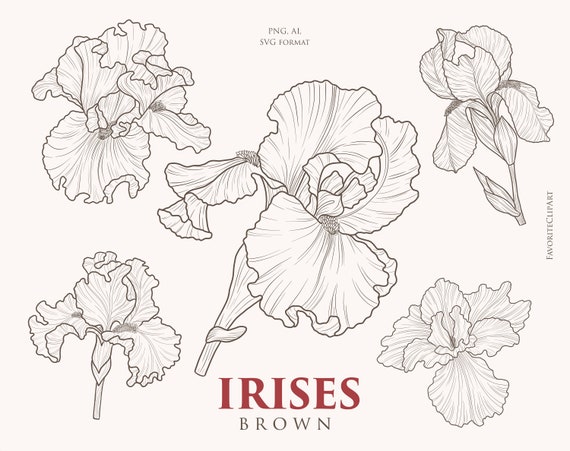 Vector irises clipart scrapbooking irises vintage irises with lines for cutting for holographic stickers format elements ai svg png download now