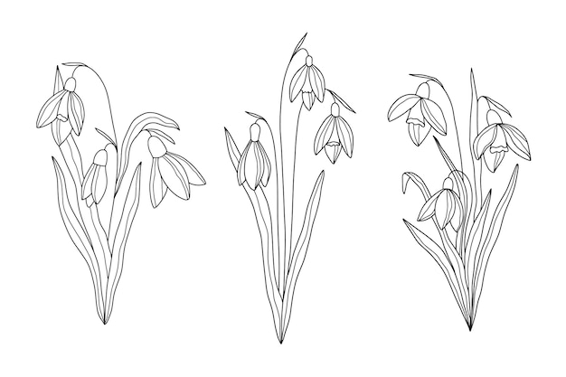 Page vintage iris vectors illustrations for free download