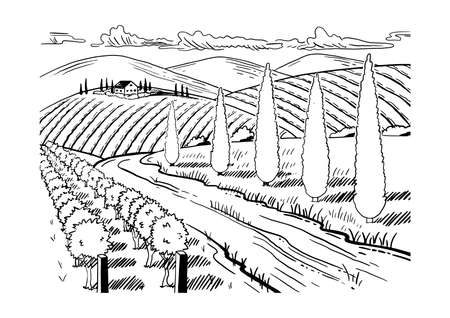Coloring page rural landscape grape fields cypress trees hand drawn sketch vintage style black and white vector illustration isolated on white background ù ùùø øªøµù ùù ù
