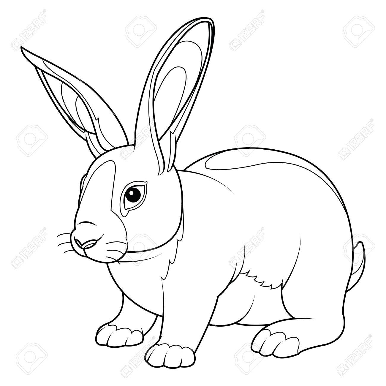 Coloring page rabbit hand drawn vintage doodle bunny vector illustration for easter royalty free svg cliparts vectors and stock illustration image