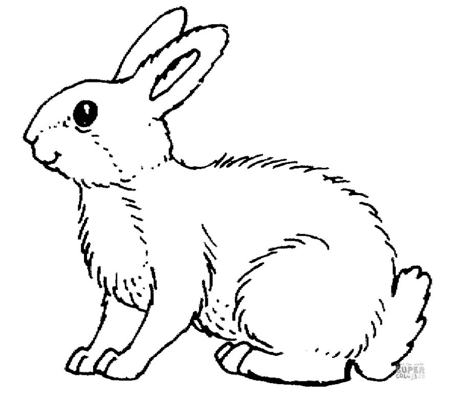 Places for free easter bunny coloring pages