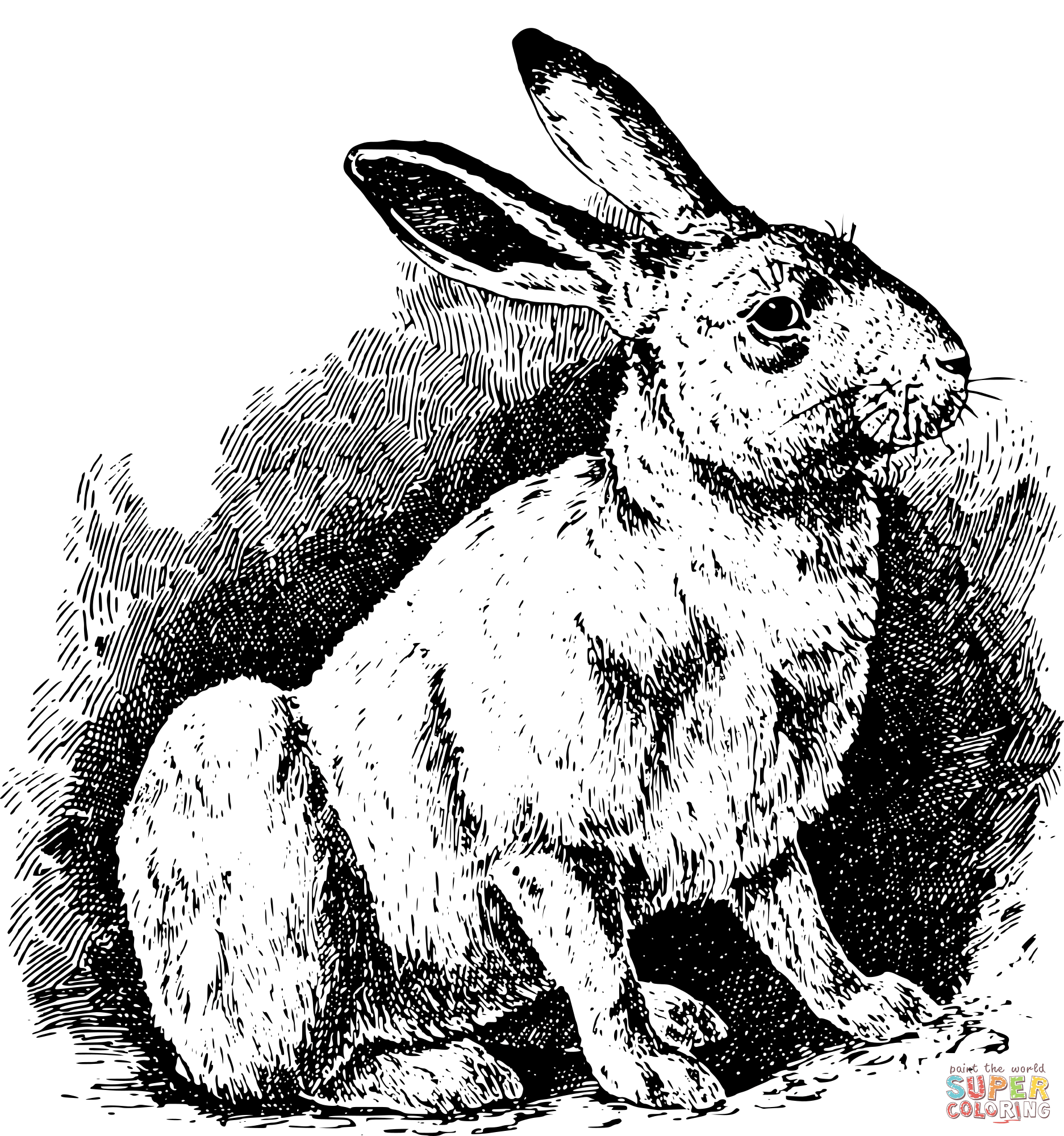 Vintage simple rabbit coloring page free printable coloring pages